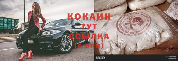 СК Алексин