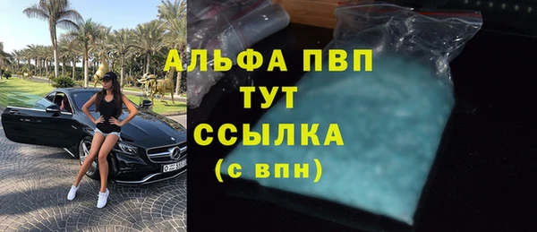 СК Алексин